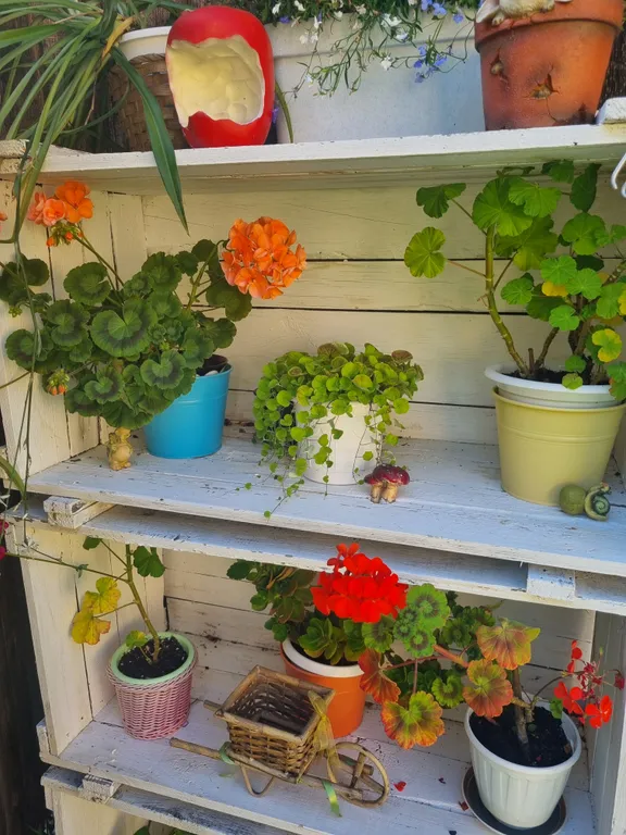 Дом на озере