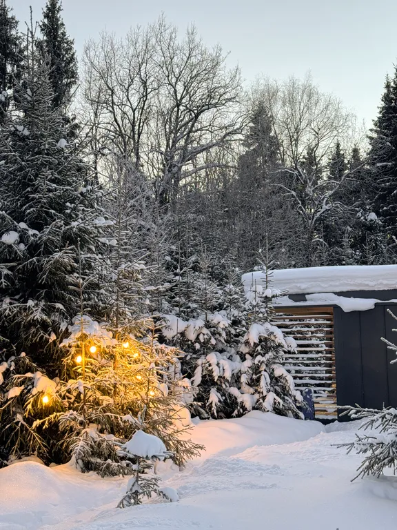 Домик Зов Йети