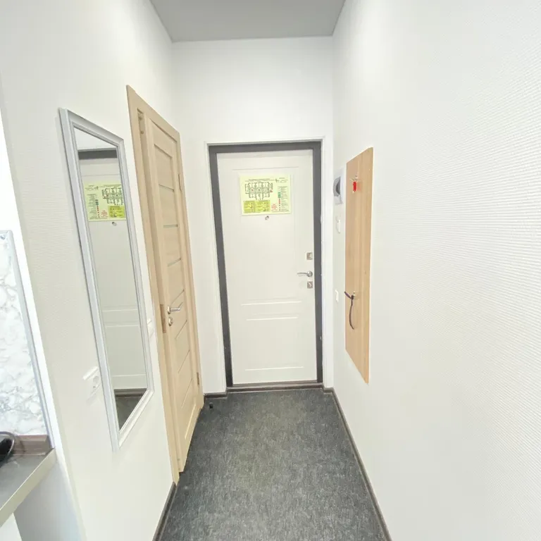 Студия Нижний Ораниенбаум