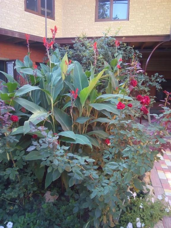 Коттедж Коттедж Отдых на Азовском море — Ейск