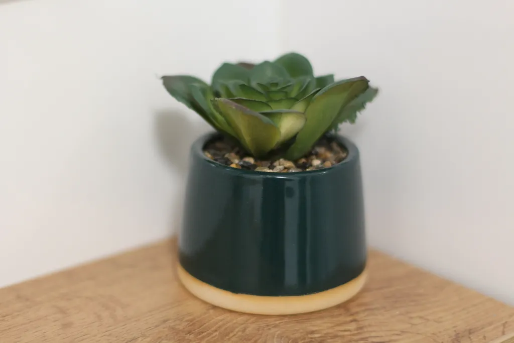 Евро-двушка у Ледовой Арены, ГУОР по хоккею