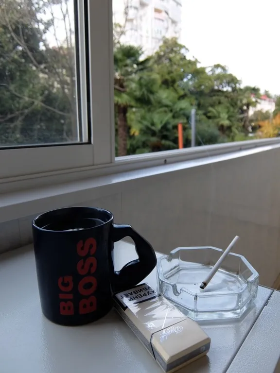 Квартира Отличная квартира рядом с парком Ривера — Сочи