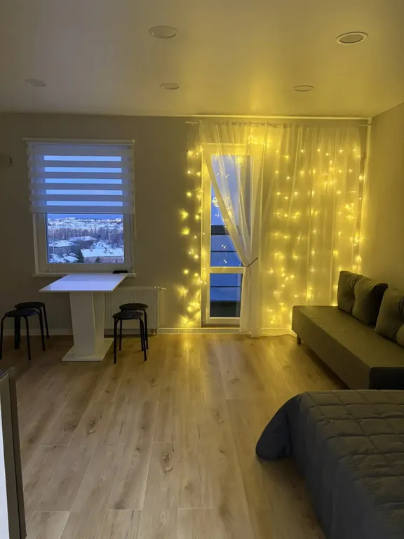 Уютная квартира с видом на озеро — аренда посуточно в Петрозаводск