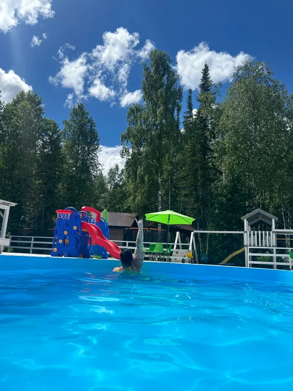 Барн хаус с видом на лес и горы