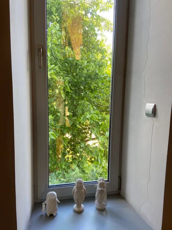 Вилла со своим выходом к Москва-реке