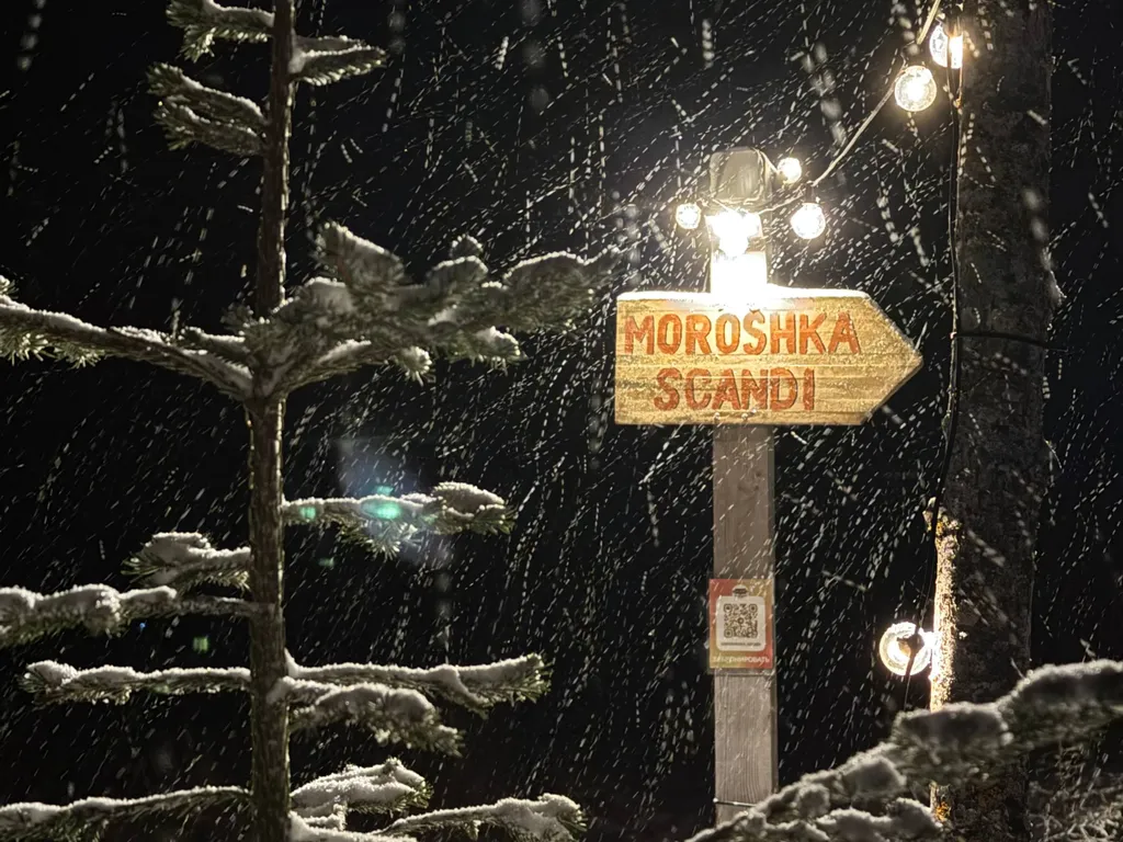 Коттедж Moroshka Scandi - домик для двоих с видом на лес — Можайск