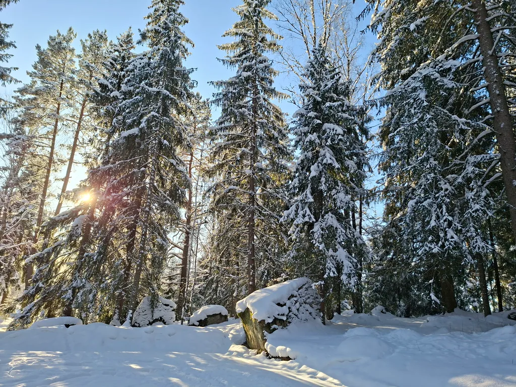 Дом с баней