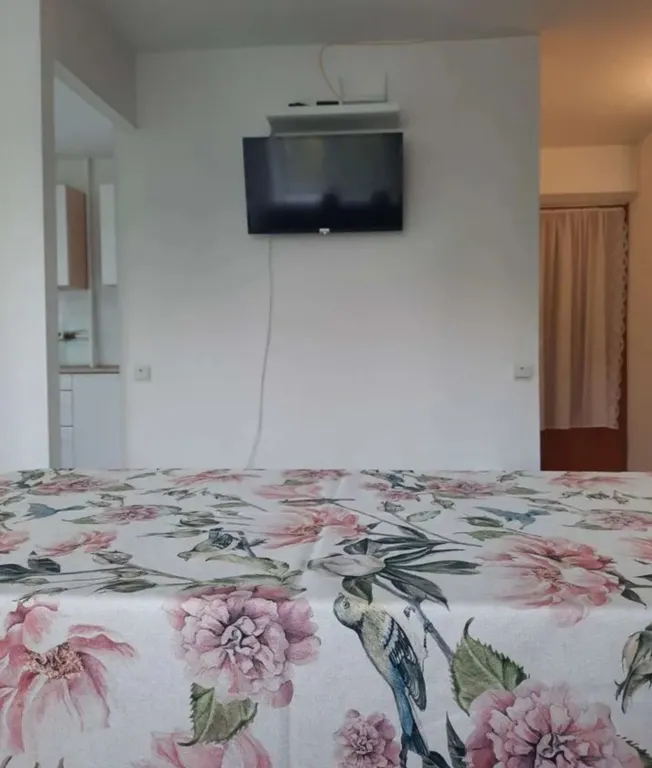 Квартира однокомнатная в центре Закамска