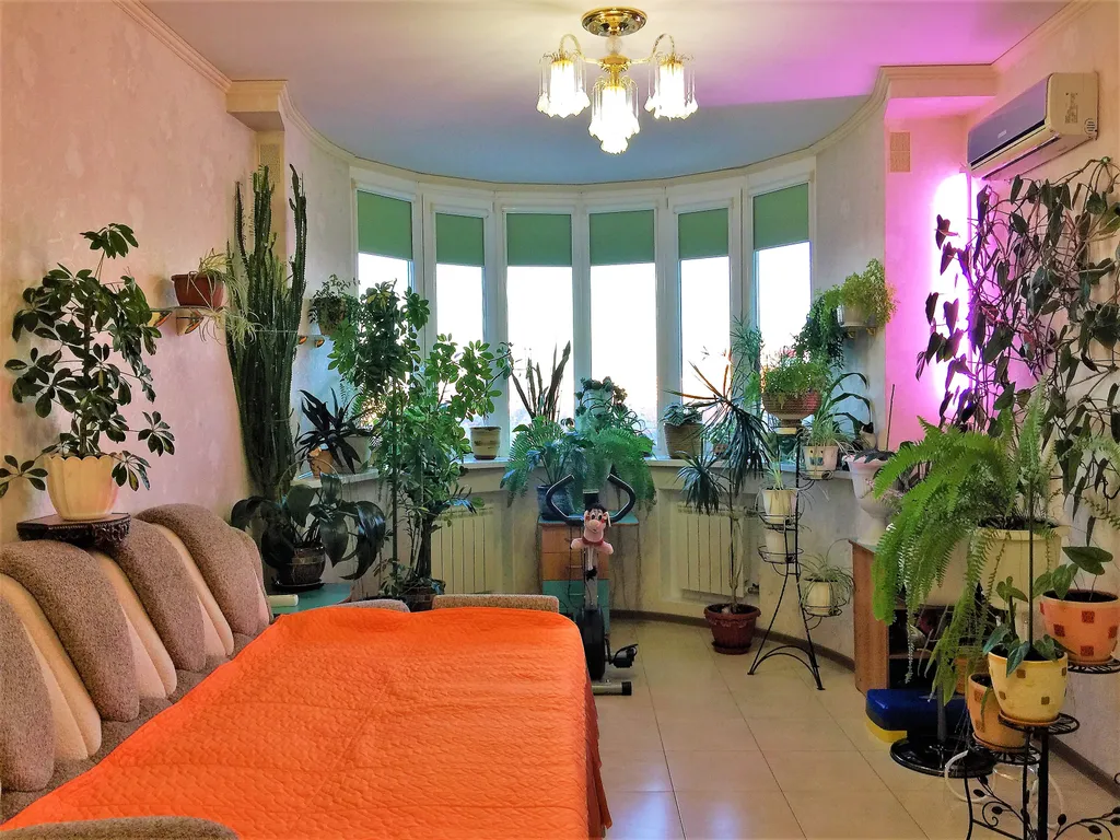 Квартира Квартира с цветами и видом на Собор — Самара