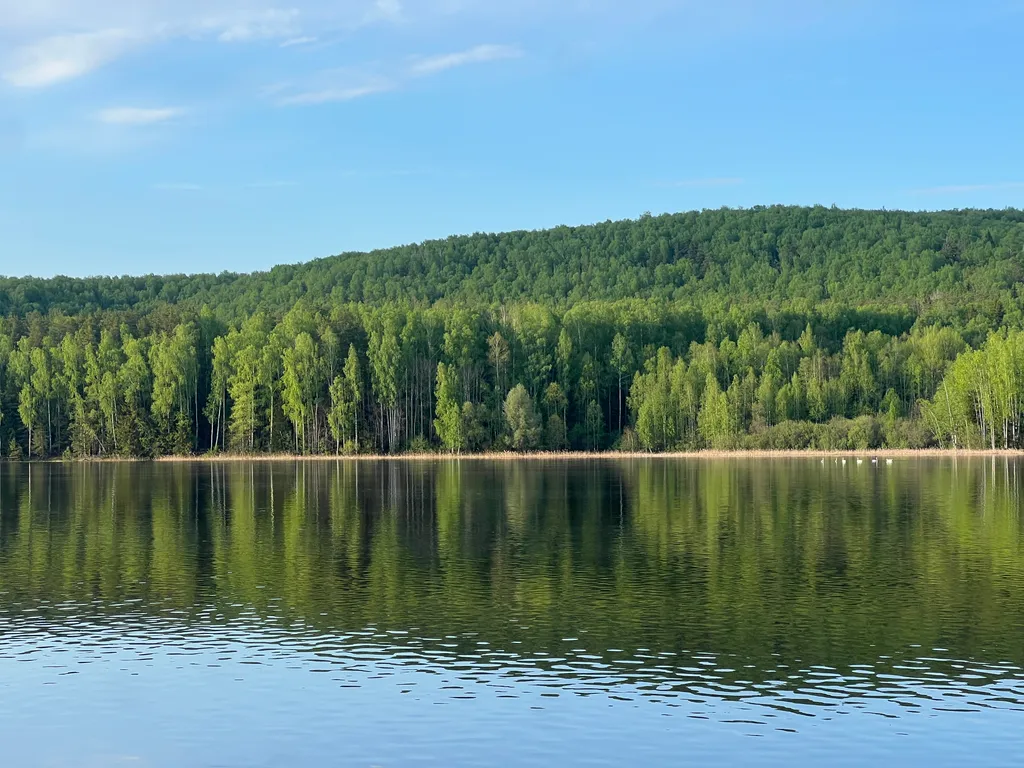 Дом в лесу у реки (6)
