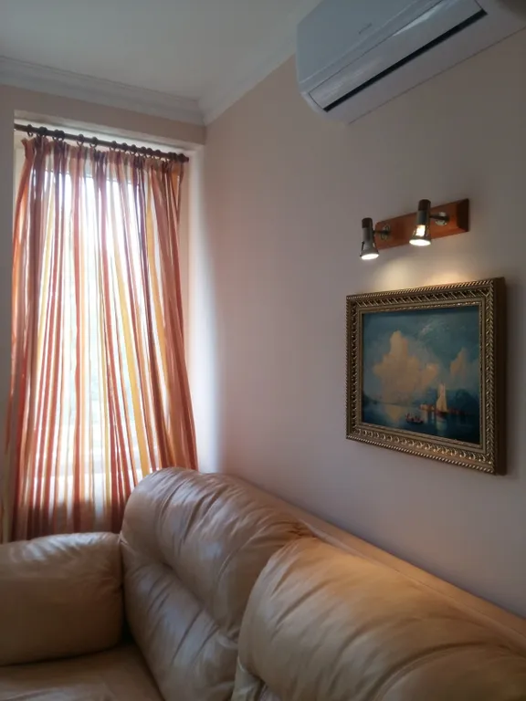 Современная уютная квартира в Сочи  с балконом.С красивыми видом .