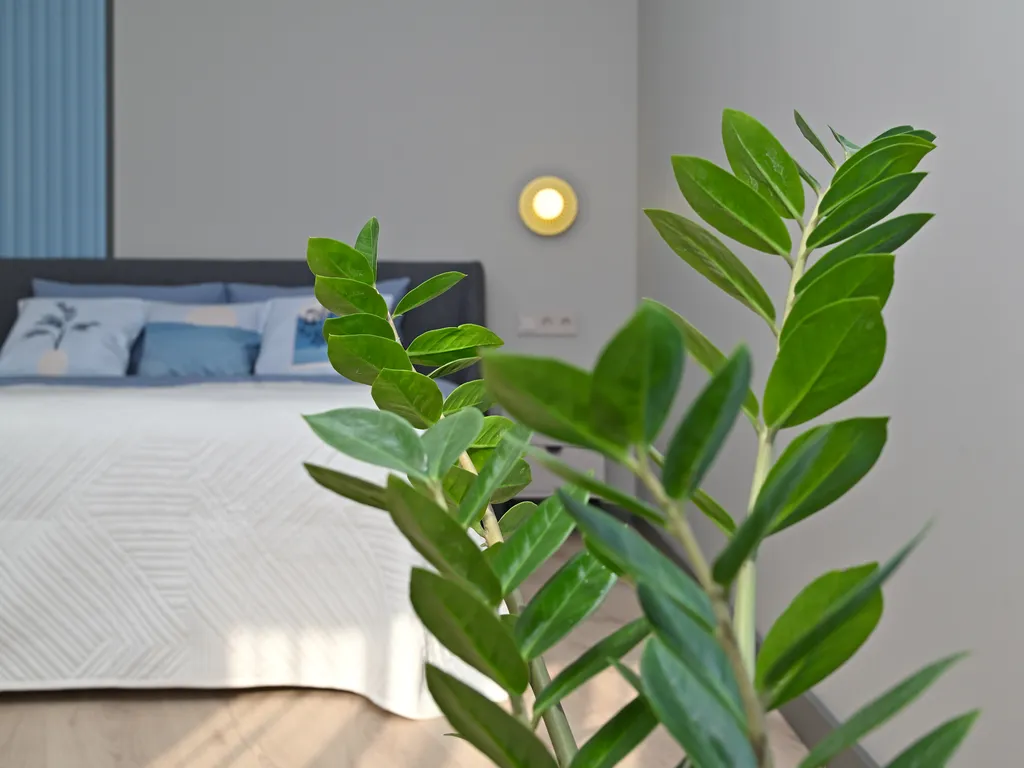 Квартира Апартаменты с домашним кинотеатром — Светлогорск