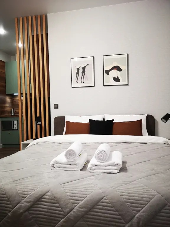 Квартира Студия с зонированной кухней в Самолёт-3 — аренда посуточно в Краснодар