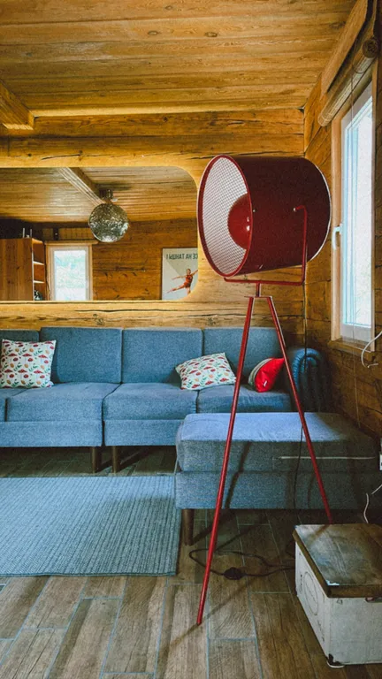 Шале Лесное в Беловежской пуще с электробатареями и выходом в лес