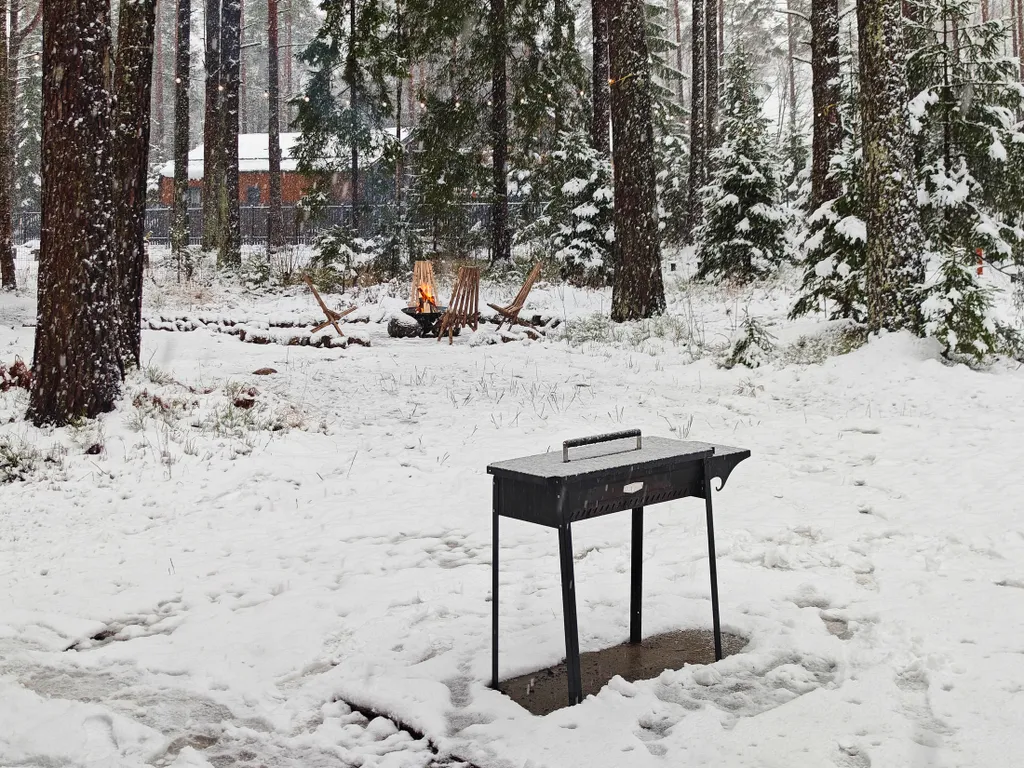 Новый дом на лесном участке