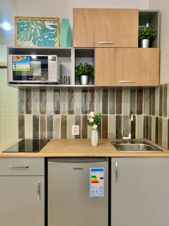 Студия Монстера рядом с жд вокзалом и цирком