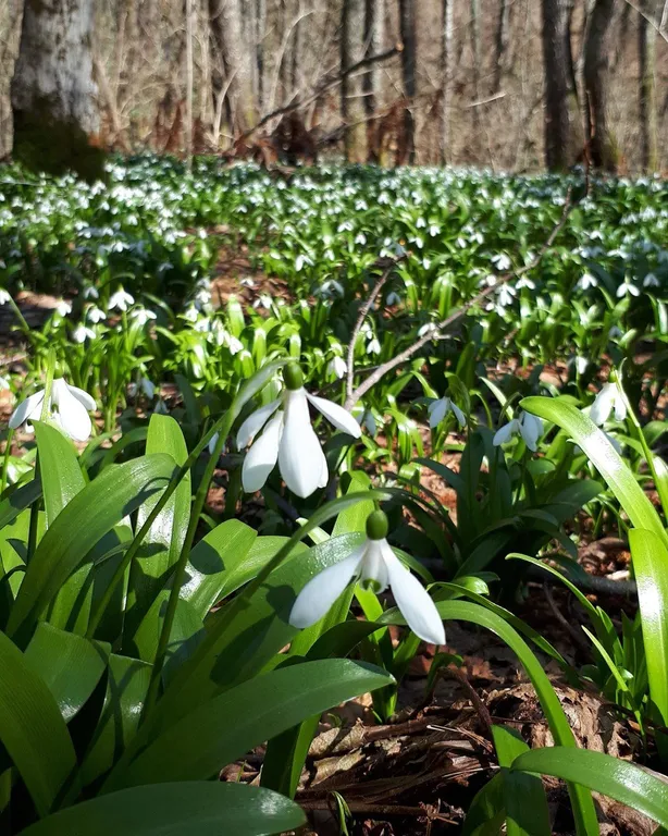 Таунхаус в самом лучшем районе