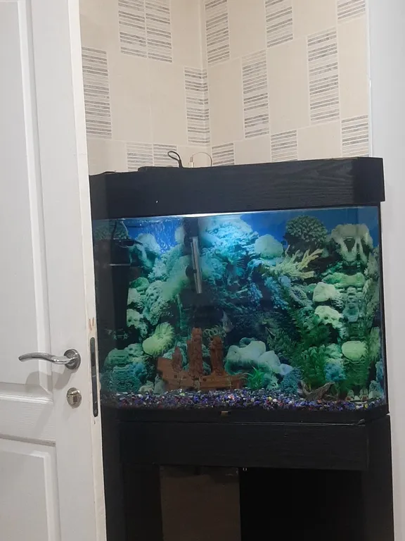 Уютная квартира в центре на главной улице