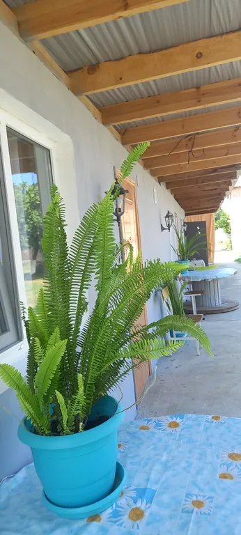 Уютный номер со всеми удобствами