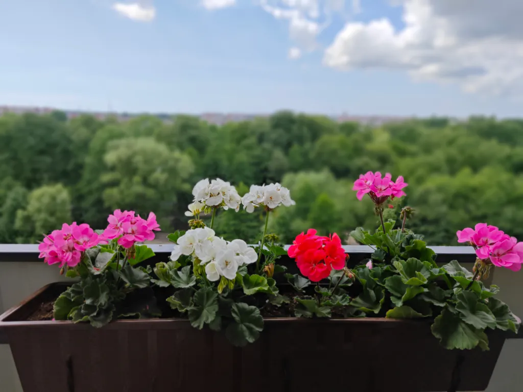 Квартира Уютная квартира на Летнем озере — Калининград