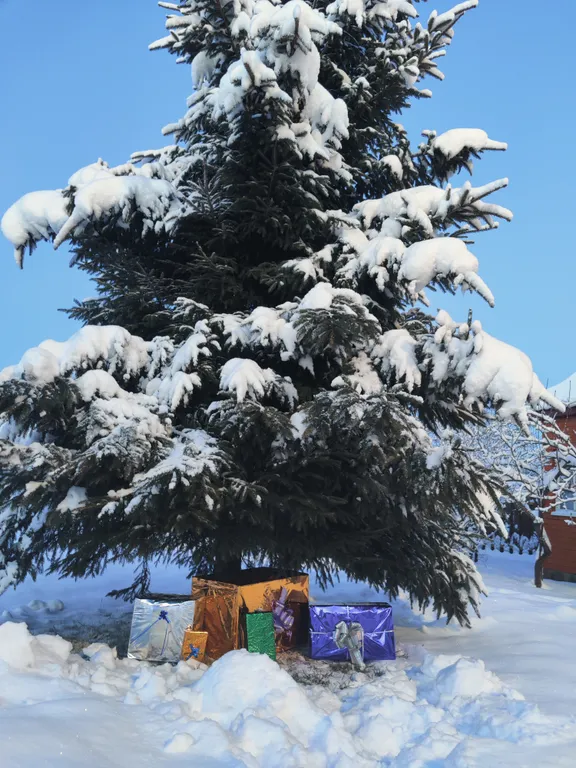 Дом Зимняя Вишня