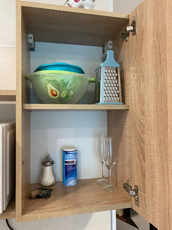 Мини-студия Гармония 2