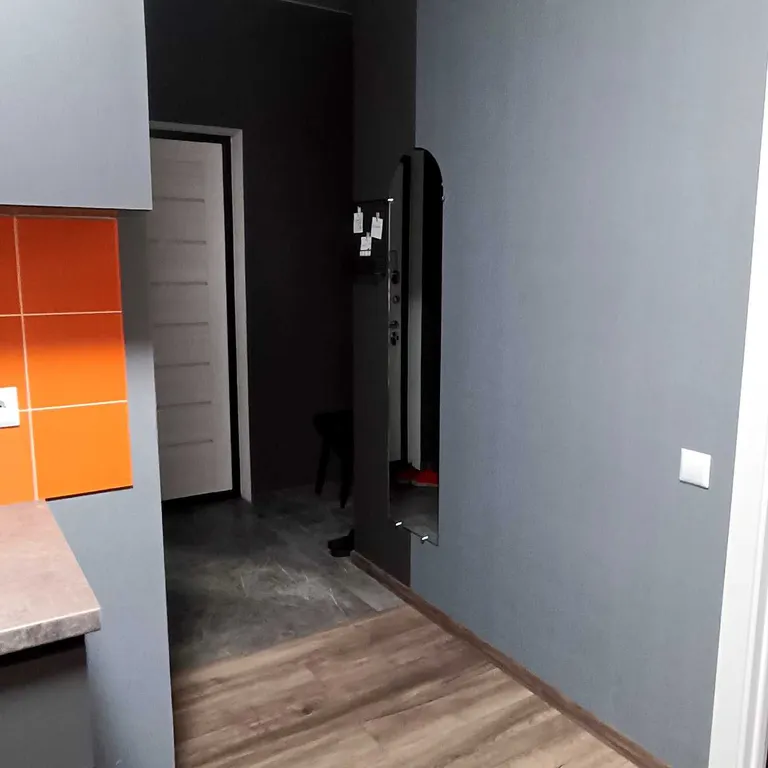 Уютная однокомнатная квартира