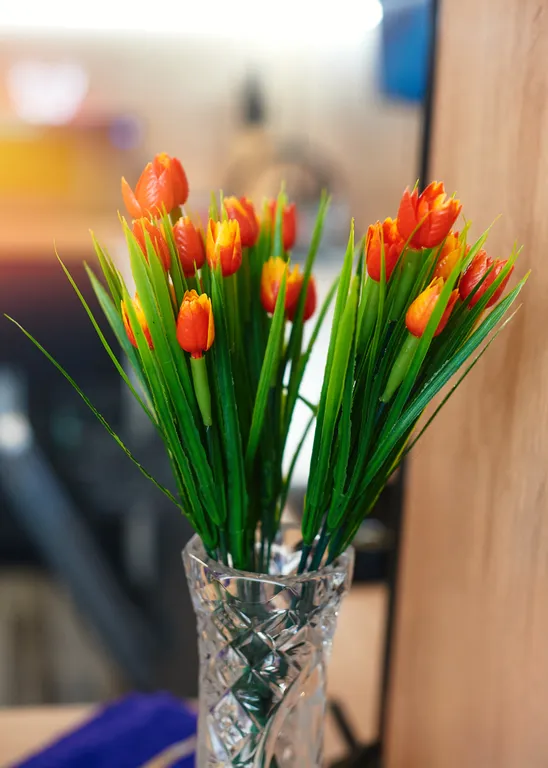 Capybara's style: центр, парящая кровать, тв-алиса, качель