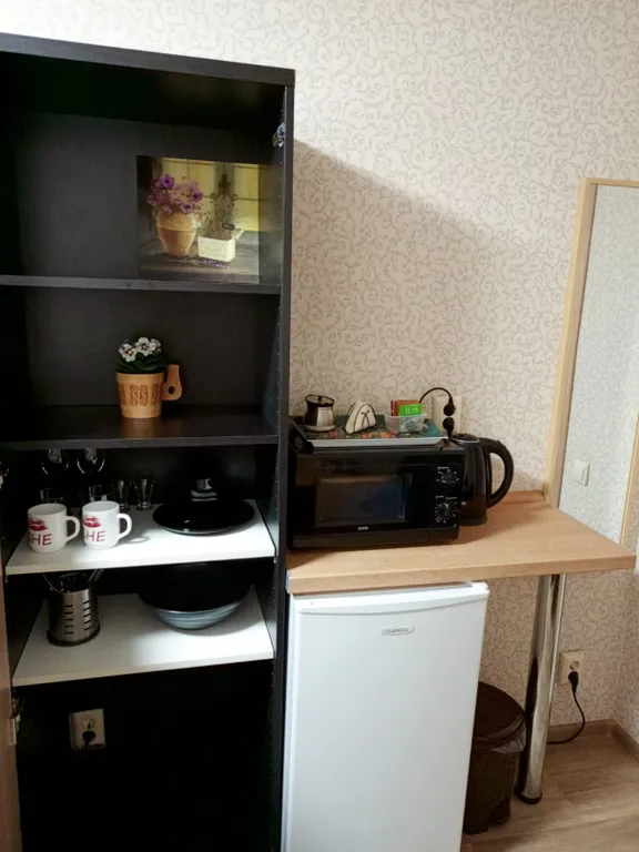 Квартира Уютная комната в центре у метро — Санкт-Петербург