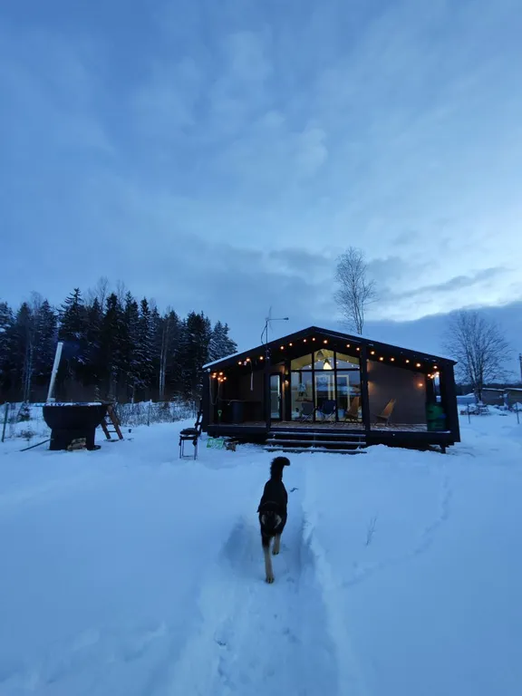 Коттедж Уютный домик с чаном банным — аренда посуточно в Гатчина