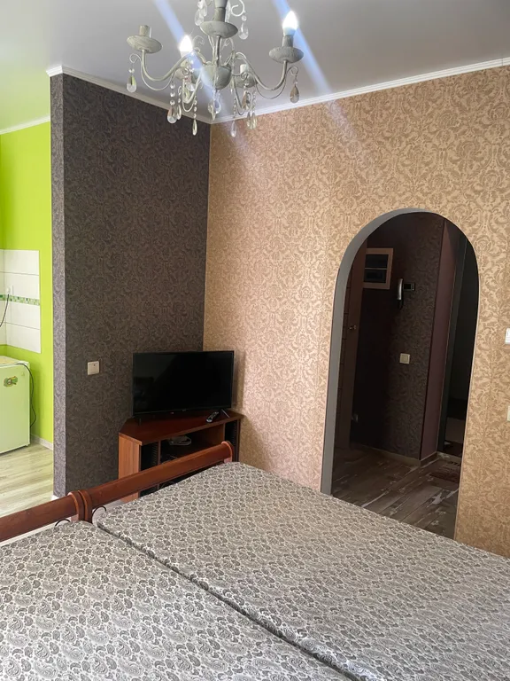 Студия у озера Тихое и лесной зоны