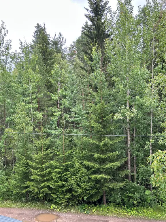 Загородный дом для большой семьи