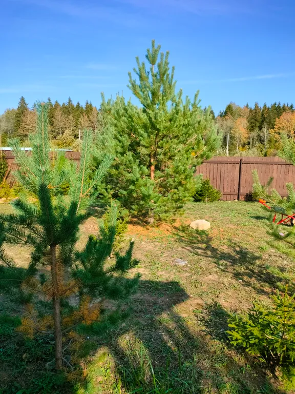 Коттедж Уютный дом у озера — Волосово