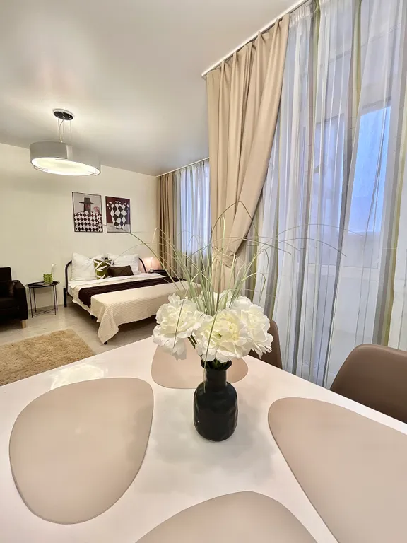 Просторная студия в центре города