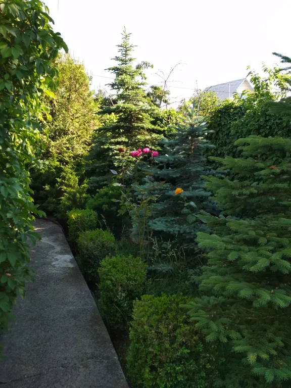 Уютный отдельный домик