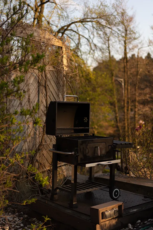 Особняк на берегу Тихого озера