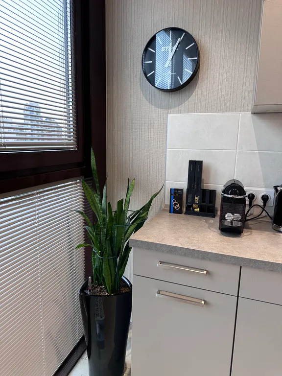 Уютная квартира-студия в центре Сестрорецка