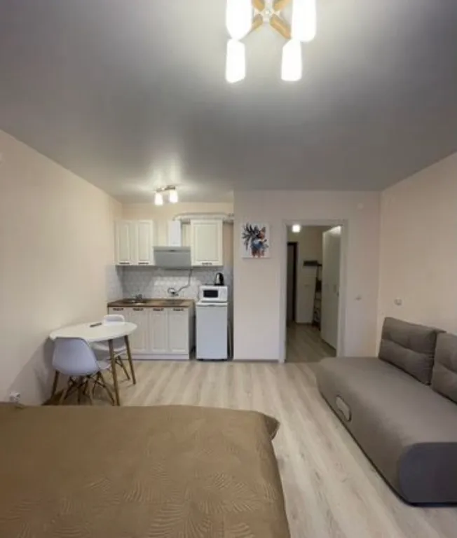 1-комнатная в Кировском районе