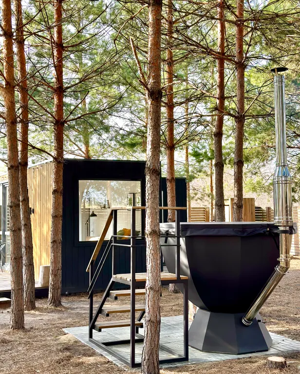 Домик в сосновом лесу