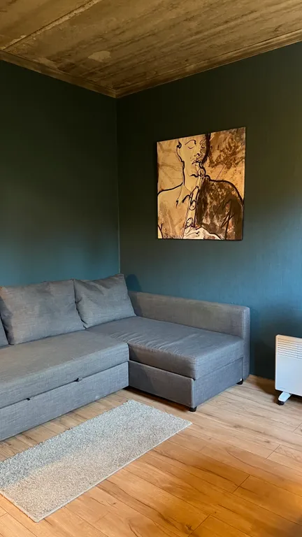 Лофт студия у озера Хэппоярви в Токсово