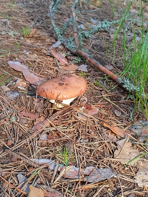 Дом на берегу протоки, ведущей в Вышневолоцкое водохранилище