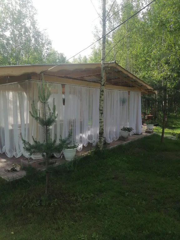 Домик в лесу с баней