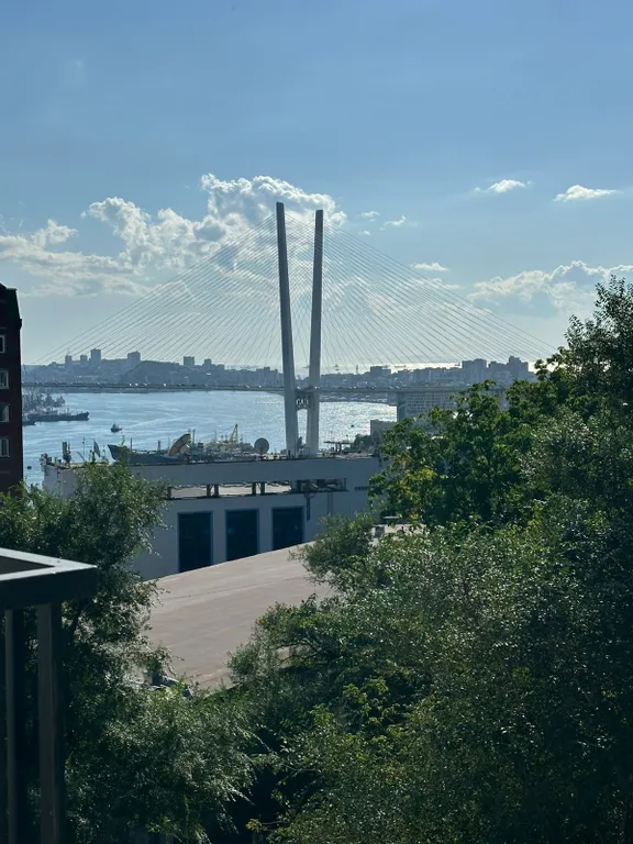 Квартира Уютная квартира в центре города — Владивосток