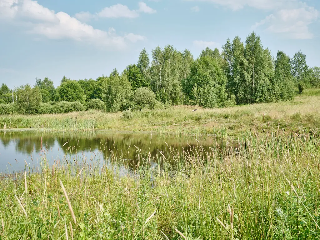 Двухэтажный дом 472 с банным чаном и камином