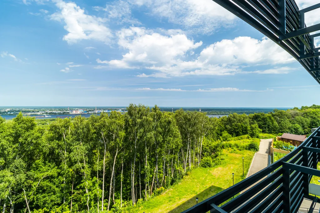 Новые апартаменты Premier с видом на лес