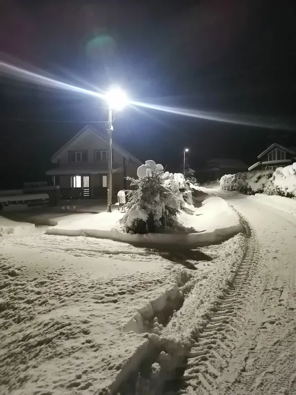 Уютный уголок у леса