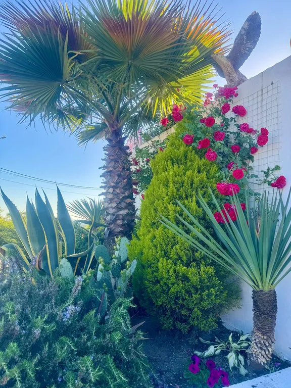 Просторный комфортабельный коттедж