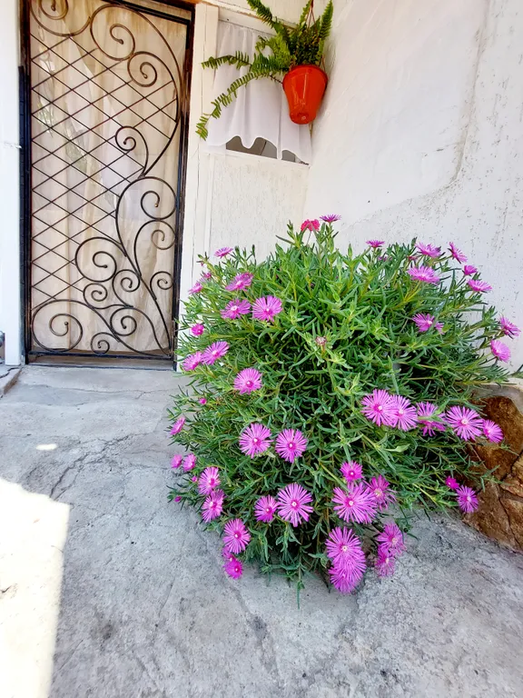 Двухкомнатный дом в центре города