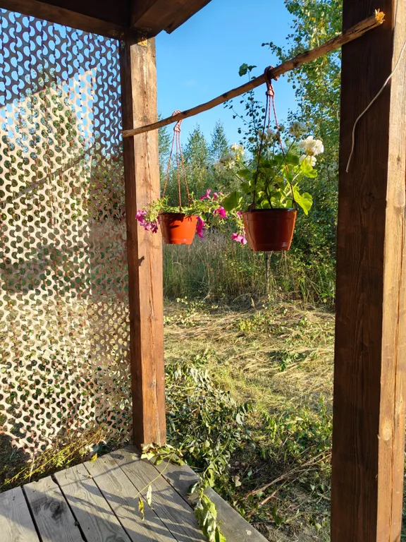 Солнечная поляна глэмпинг