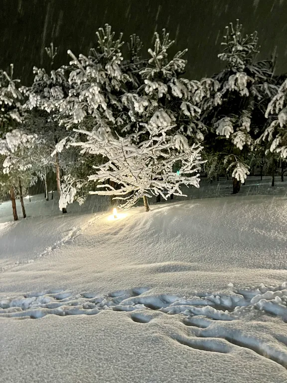 Коттедж 1-комнатный Дом — Сясьстрой